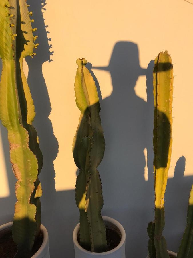 Riad Aicha Kitchen マラケシュ エクステリア 写真